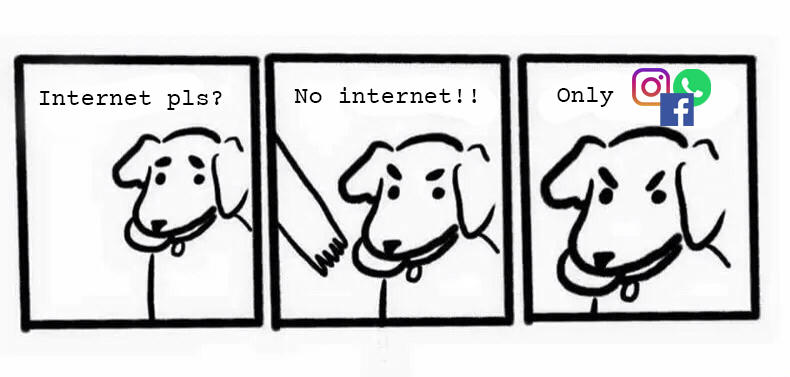 meme about dog wanting a stick throw but it's the internet instead